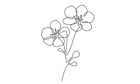 Animated Cherry Flowers Branch Line Art: Dynamic Design Assets
