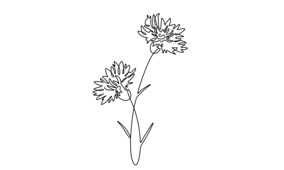 Animated Cornflower Animation: The Allure of Continuous Line
