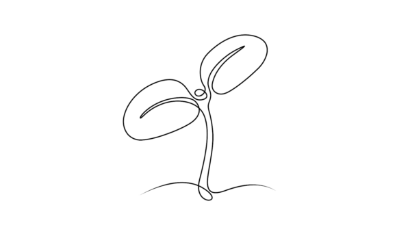 Animated Green Plant Sprout Line Art: Fresh Design Energy