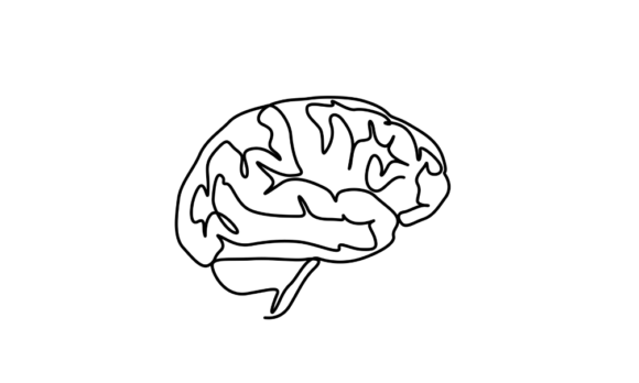 Animated One Line Drawing of Brain: A Fluid Journey into Intelligence