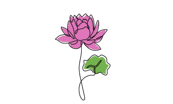The Endless Motion of Animated Lotus Flowers