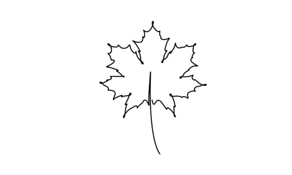 The Leaf Continuous Line Art Animation: A Fluid Motion Masterpiece