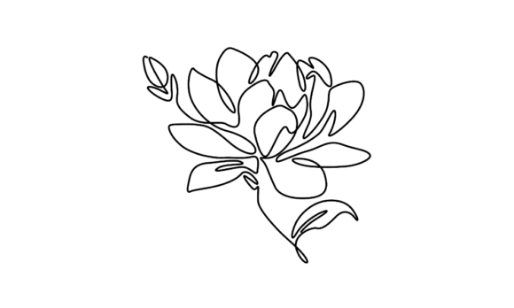 The Unbroken Line: Mastering Animated Flower Line Art
